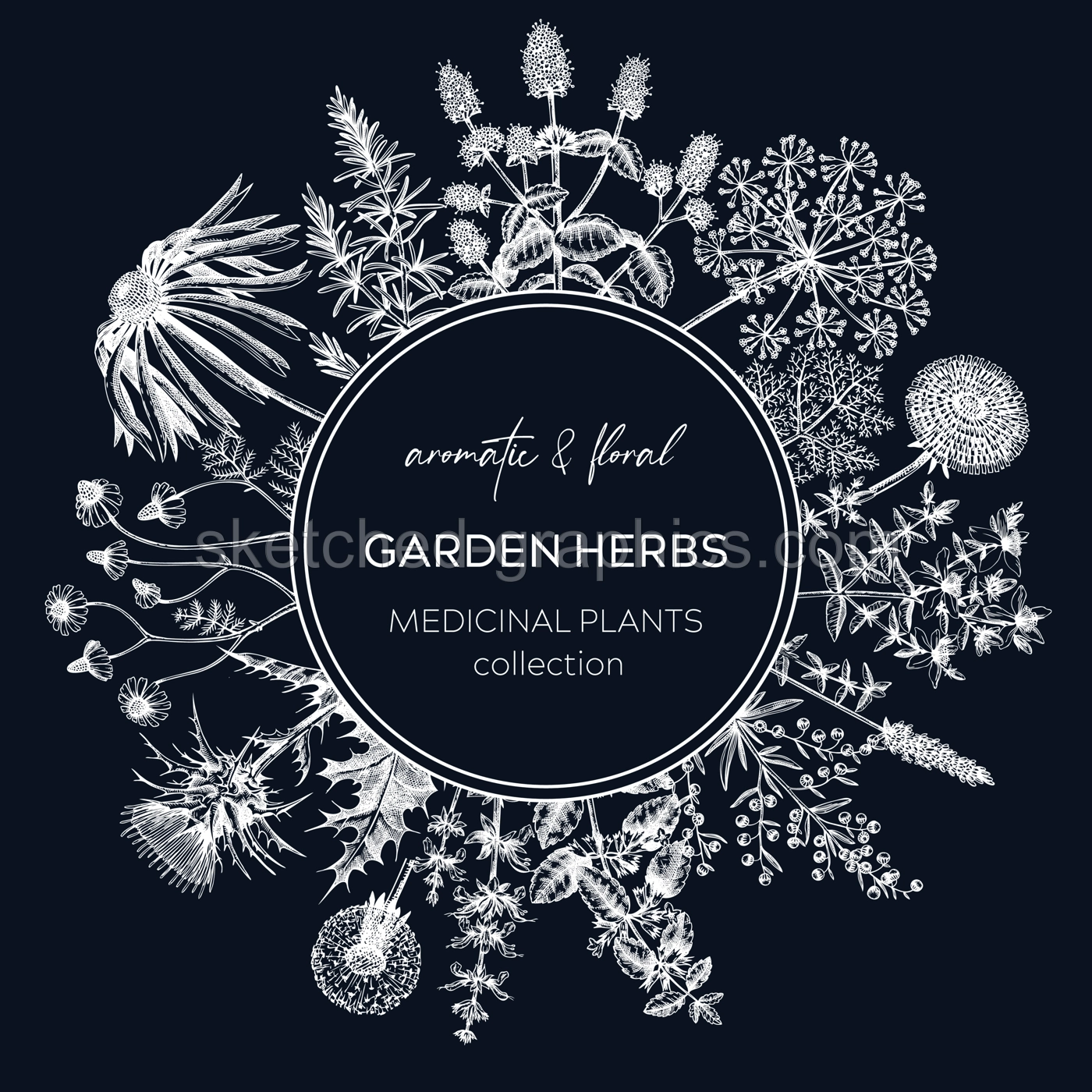 Vintage herb wreath on chalkboard. Aromatic plants design in sketched style. Herbal tea ingredients. Hand drawn herb banners for cosmetics, perfumery, herbal medicine. Floral card   Illustration